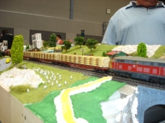 Modellbahnfreunde Schweich